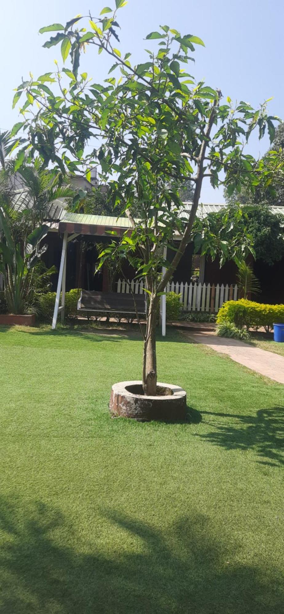 Hotel Oakwood Mahabaleshwar Exterior photo